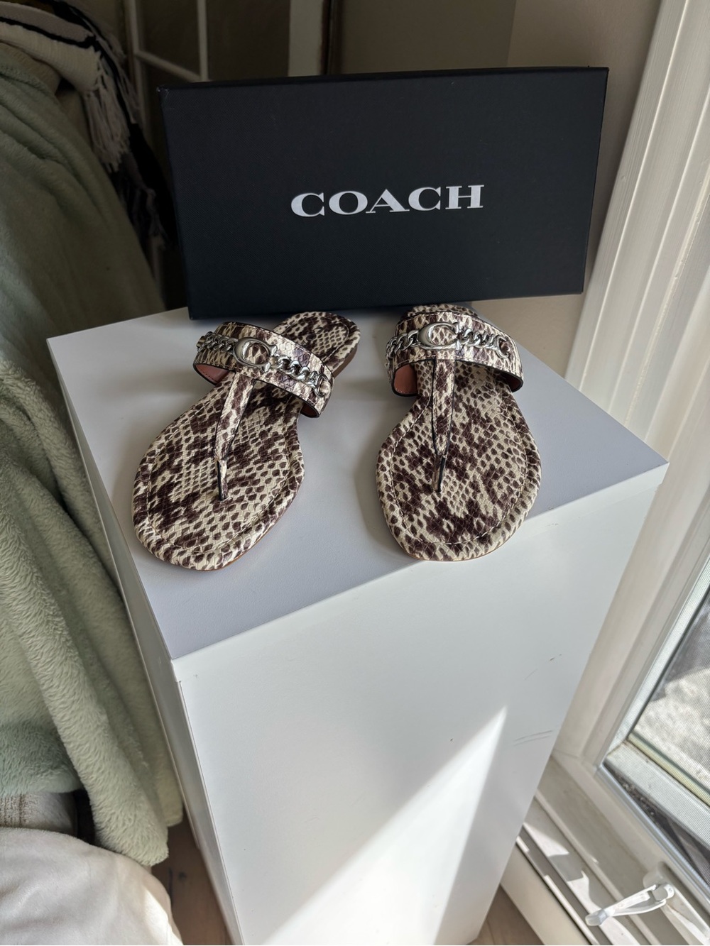 COACH Women's Snakeskin-Print Thong Sandals - Brown/Beige